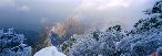 White Snow and Green Pines