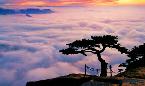Vast Sea of Clouds
